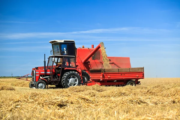 Tractor and combine harvesting wheat — Stock Photo, Image