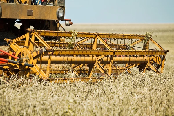 Žlutá kombajn, pracující v oboru pšenice — Stock fotografie
