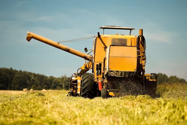 Yellow combine harvester working in a wheat field — Stock Photo, Image