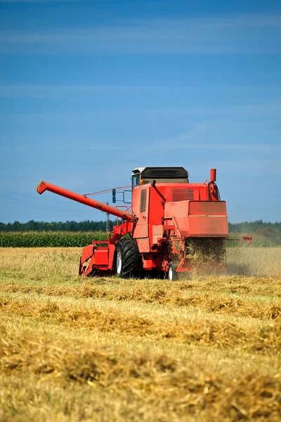 Červená kombajn, pracující v oboru pšenice — Stock fotografie