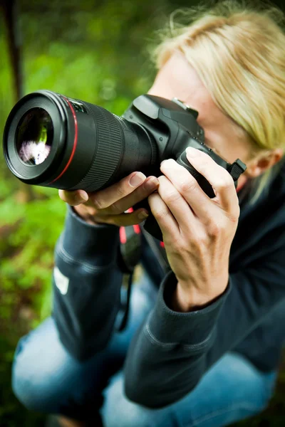 stock image Nature photographer at work