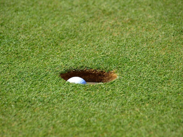 Golf topu deliğe koyarak — Stok fotoğraf