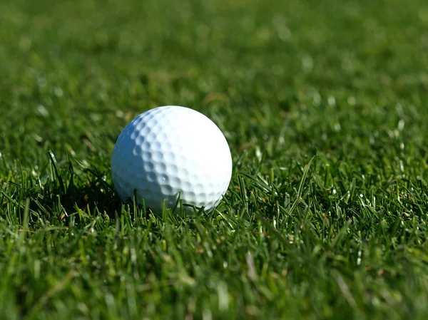 Pelota de golf en la hierba verde — Foto de Stock