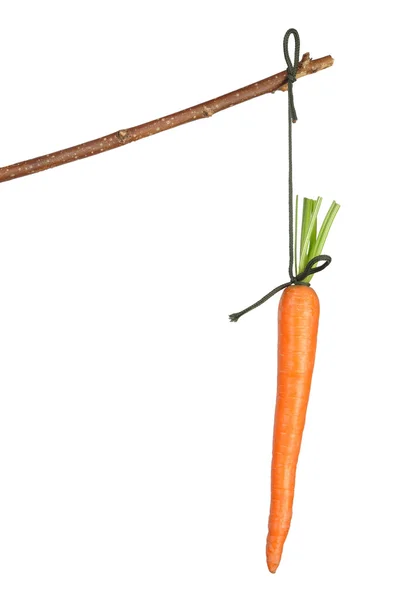 Stick with Carrot — Zdjęcie stockowe