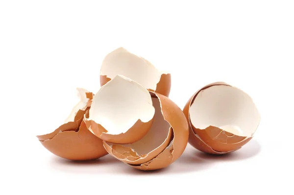 Eggshells — Stock fotografie