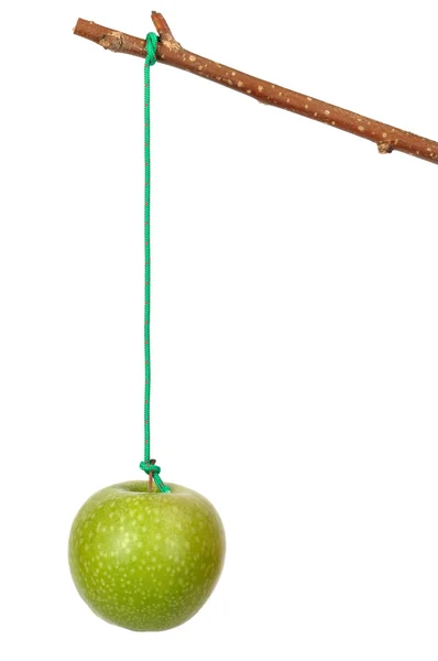 Manzana y palo — Foto de Stock