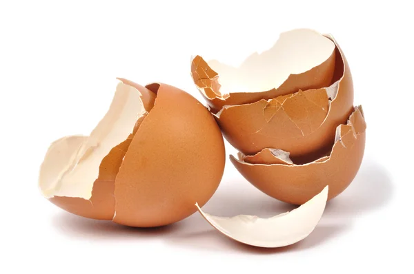 Cascas de ovo — Fotografia de Stock