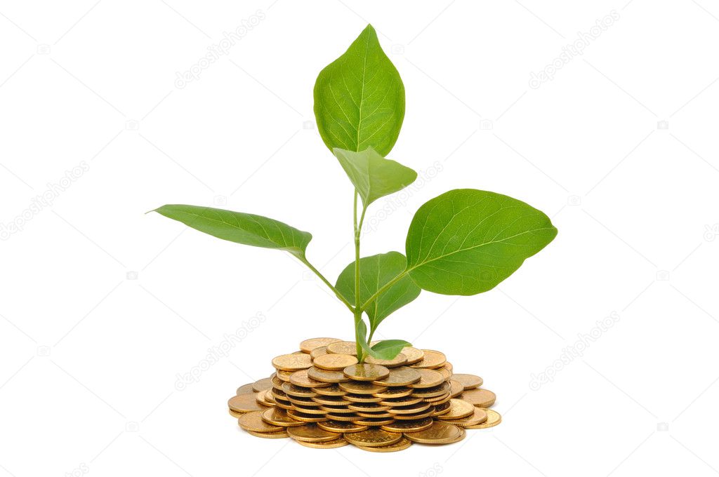 Plant and Coins