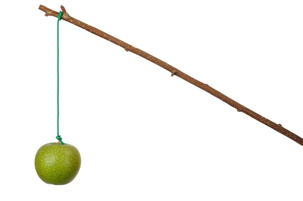 Apple och stick — Stockfoto