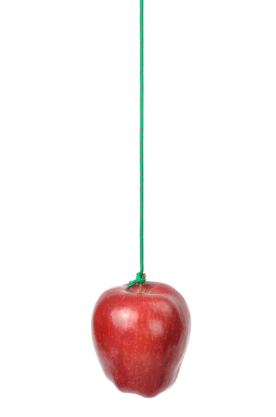 Apple sur une corde — Photo