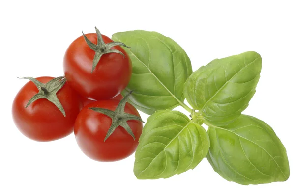 西红柿和罗勒 — 图库照片
