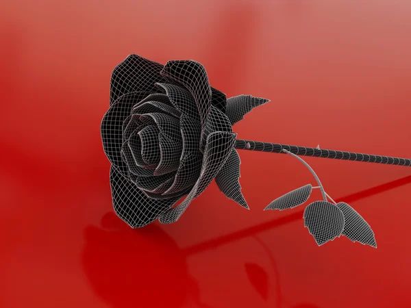 Róża zestaw pięciu — Zdjęcie stockowe