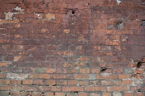 stock image Old brick wall