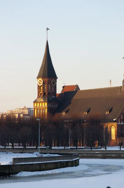 Cattedrale di Konigsberg — Foto Stock