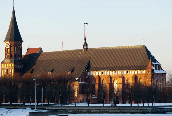 Königsbergs katedral — Stockfoto