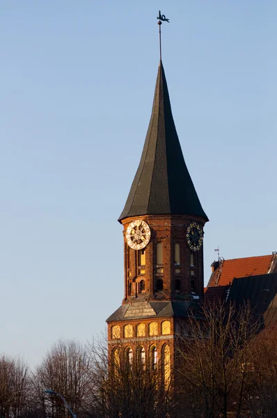 Konigsberg Cathedral — Stock Photo, Image