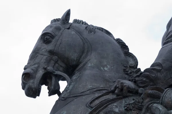 Άγαλμα ενός αλόγου που ένα — Φωτογραφία Αρχείου