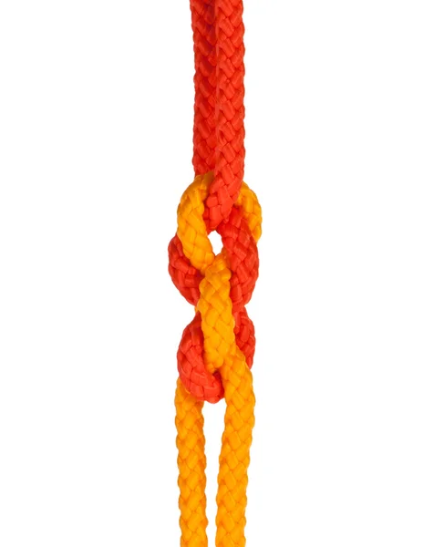 Strong knot — Stock Photo, Image