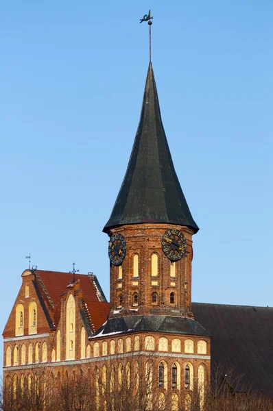 Konigsberg Cathedral — Stock Photo, Image