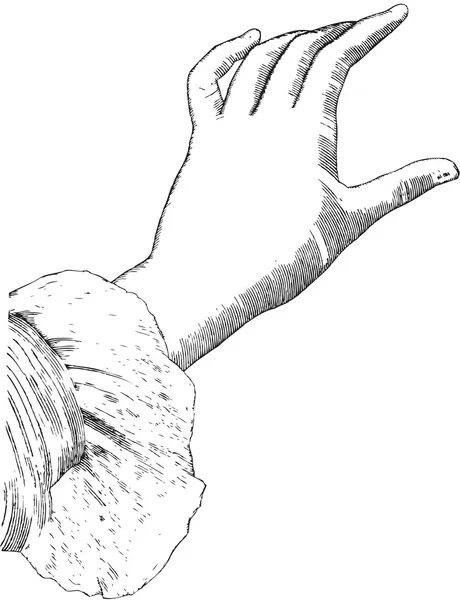 Vrouwelijke hand — Stockvector