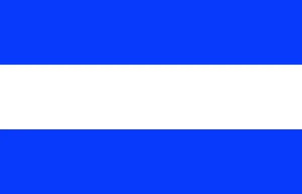 Bandiera argentina — Vettoriale Stock