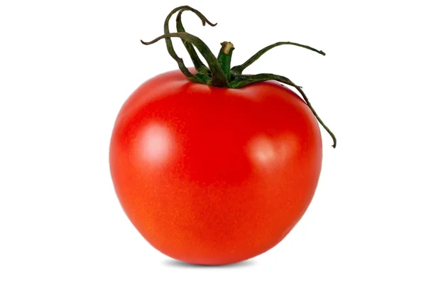 토마토 절연입니다 신선한 토마토입니다 달콤한 — 스톡 사진