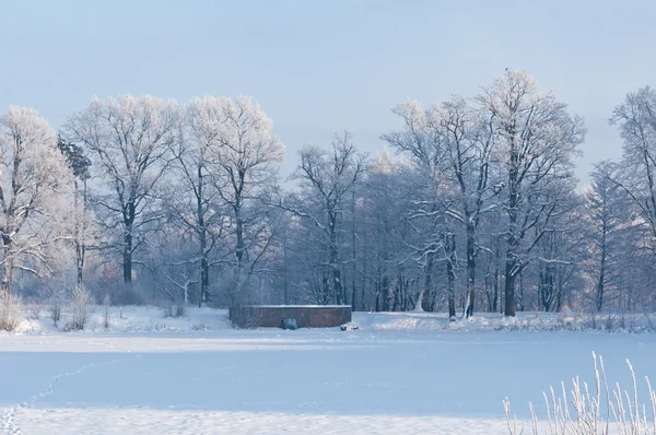 Soğuk kış günü — Stok fotoğraf