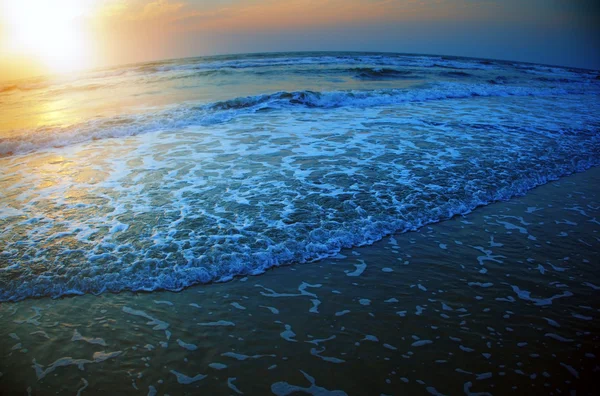 Beaut do mar — Fotografia de Stock