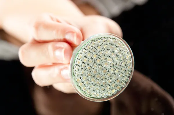 LED lamp in hand — Stockfoto