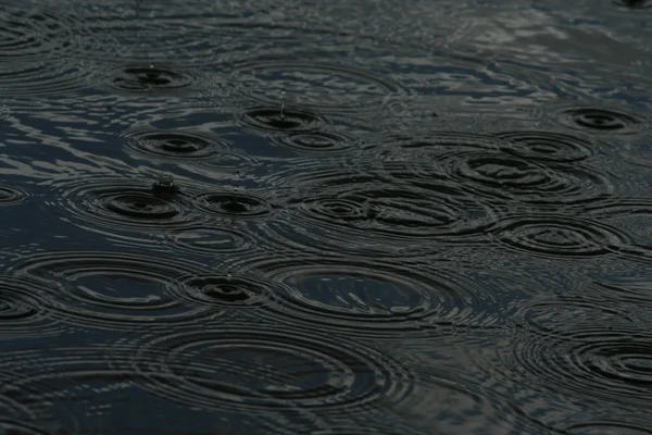 Gotas de chuva em um lago — Fotografia de Stock