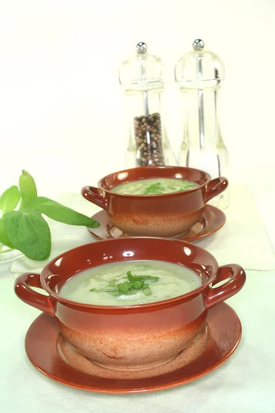Dzikie zioło zupa — Zdjęcie stockowe