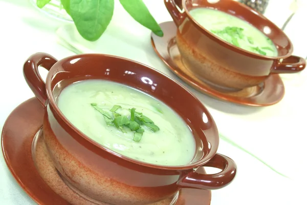 Wild herb soup — Stock Image Wild herb soup Stock Picture