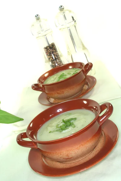 Wild herb soup — Stock Image Wild herb soup Stock Photo