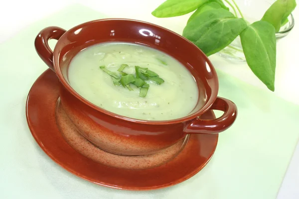 Šťovík polévka — Stock fotografie