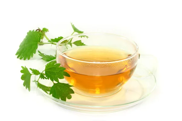 Nettle tea — Stock Photo, Image
