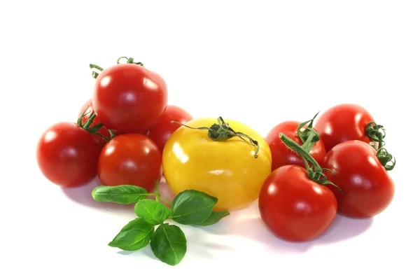 Tomatoes with basil — Stock Photo, Image