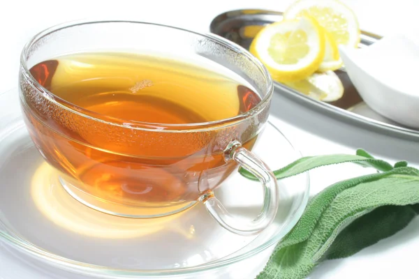 Sage tea — Stock Photo, Image