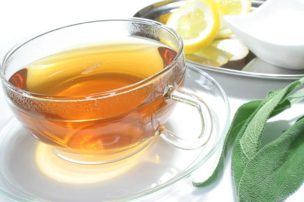 Šalvěj čaj — Stock fotografie