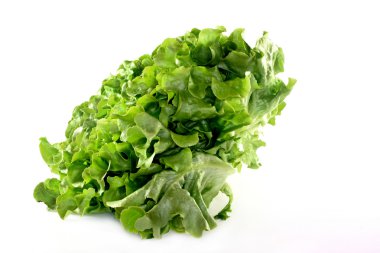 Oak leaf lettuce clipart