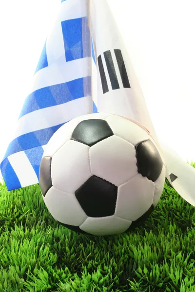 WM 2010 — Stockfoto