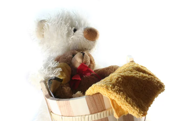 Medvídek prádlo — Stock fotografie