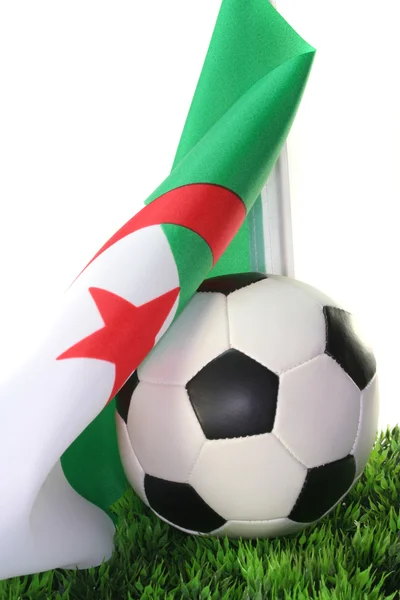 Wereldkampioenschap voetbal 2010 — Stockfoto