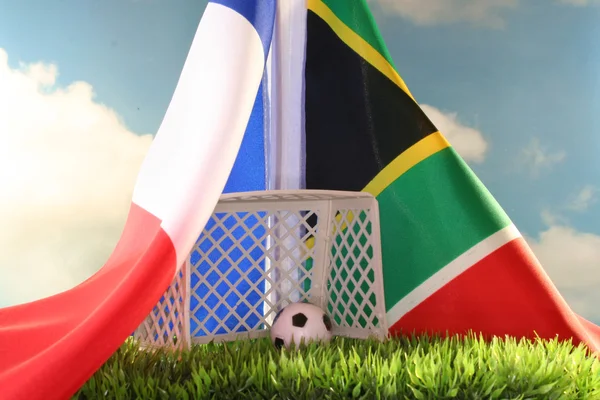 World Cup 2010 France vs South Africa — Stock Photo, Image