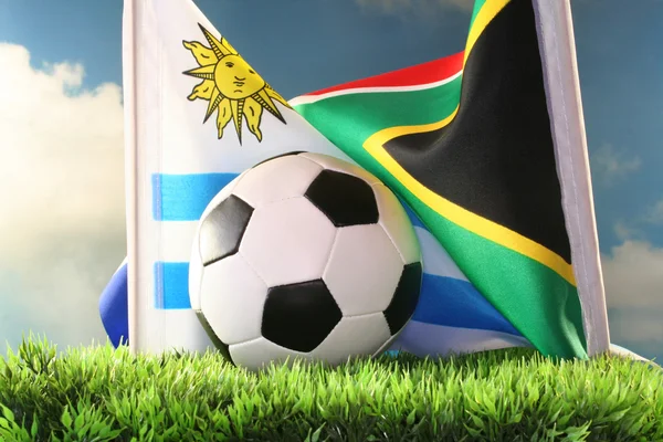 World Cup 2010 Uruguay vs South Africa — Stock Photo, Image