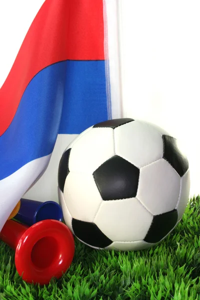 Coupe du monde 2010 — Photo