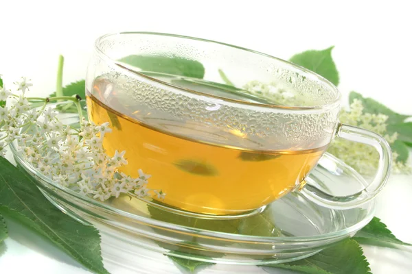 Elderflower çay — Stok fotoğraf
