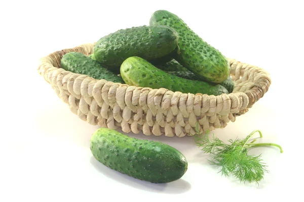 Pickling cucumbers — Stock Photo, Image
