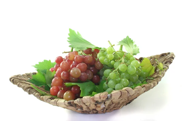 Parlak ve kırmızı üzüm — Stok fotoğraf