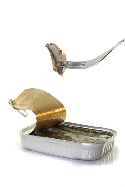 stock image Tin anchovies