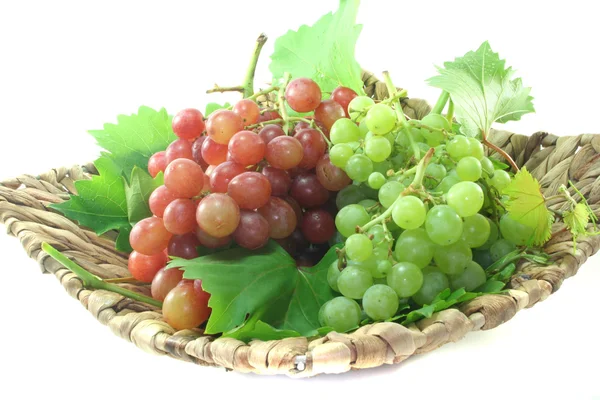 Jasne i czerwone winogrona — Zdjęcie stockowe